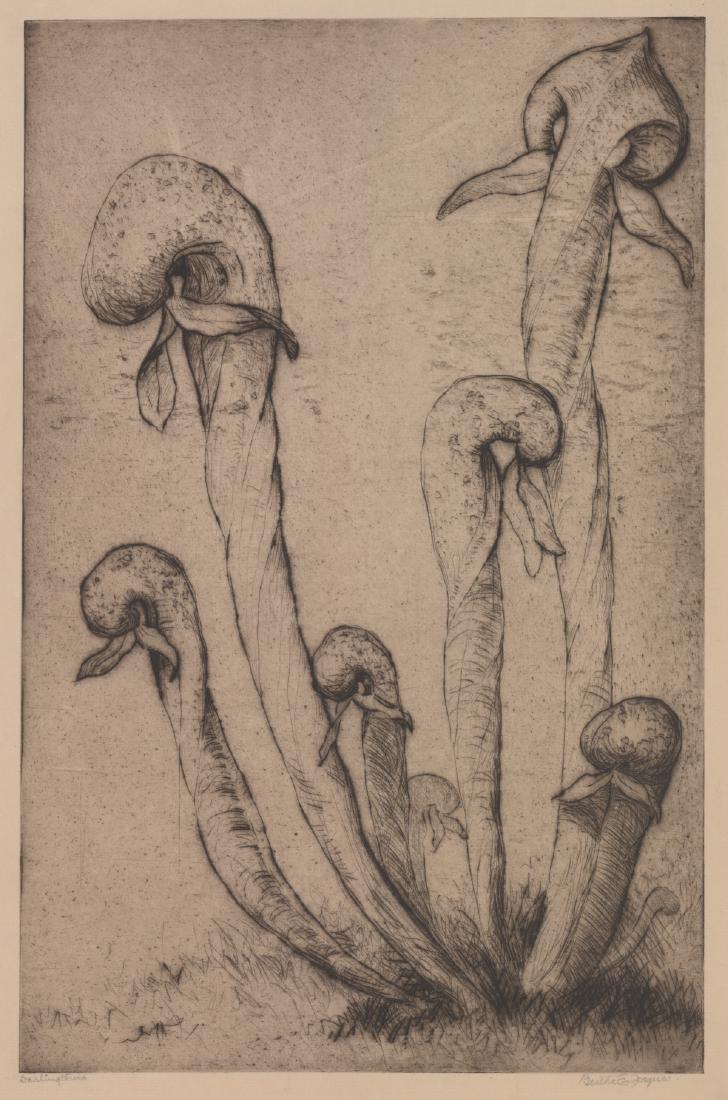 Bertha Jaques Signed Etching (1 of 5)