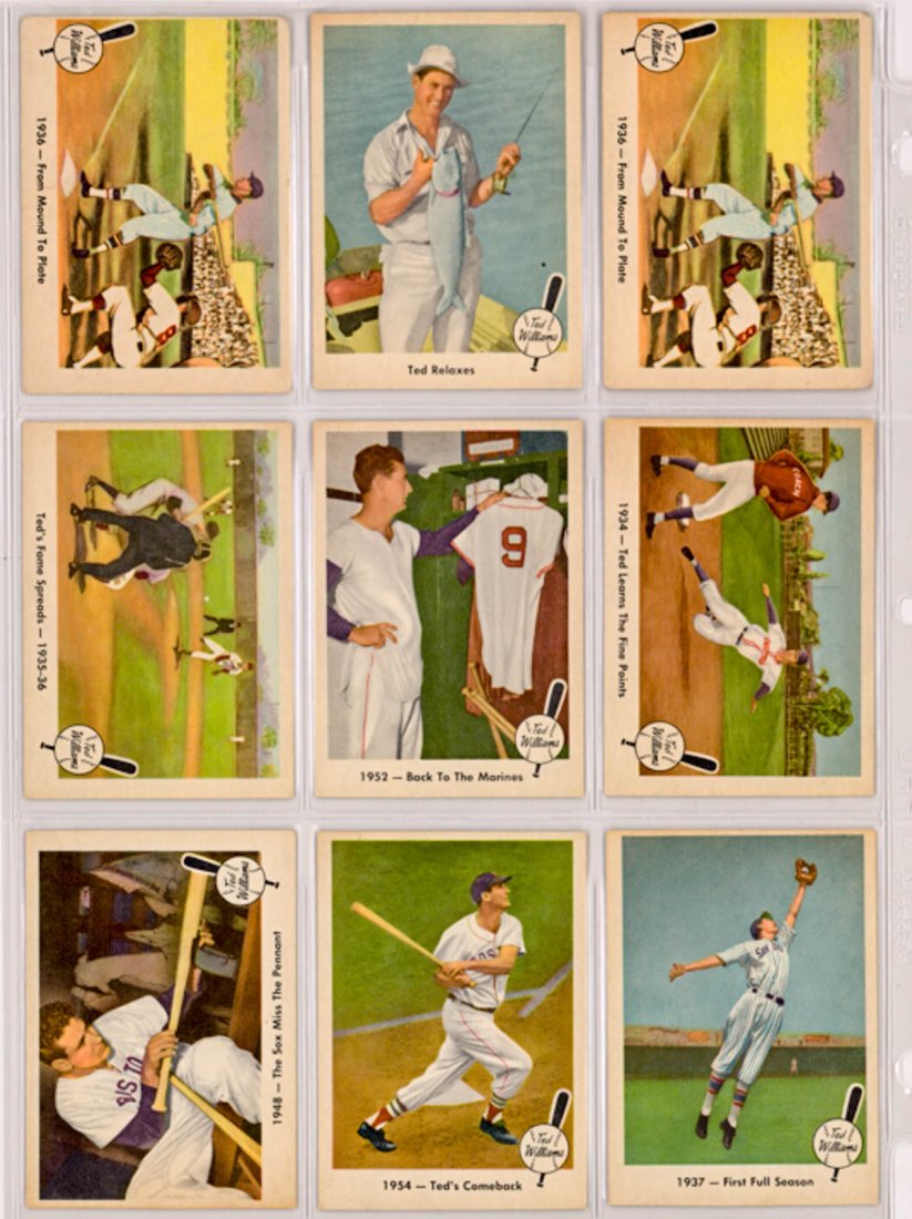 1959 Fleer Ted Williams (40): 1959 Fleer Ted Williams cards (40). Thirteen have gum stains on reverse. Overall range VG-Ex/EX-MT. We ship all items from this auction in-house and gladly combine shipping if possible of multiple ite