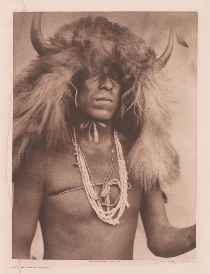 Edward Curtis Photogravure: Edward Curtis Photogravure titled "Sia Buffalo Mask" plate 563, circa 1925. Holland Van Gelder Paper from The North American Indian. Measures 17.5 in x 12 .75 (impression marks) and 21.875 in x 17.875