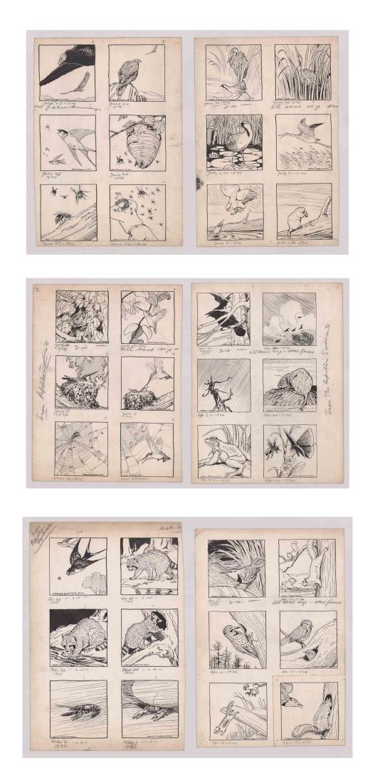 Charles Livingston Bull Original (36) Drawings 1923-4: Charles Livingston Bull (American, 1874 - 1932) collection of 36 pen and ink drawings in groups of 6 on 6 separate sheets. Each drawing measures 4-in x 4-in. Sheet size measures vary - smallest at 15-