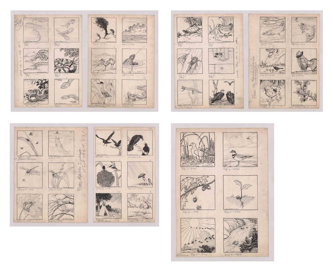 Charles Livingston Bull Original (42) Drawings 1923-4: Charles Livingston Bull (American, 1874 - 1932) collection of 42 pen and ink drawings in groups of 6 on 7 separate sheets. Each drawing measures 4-in x 4-in. Sheet size measures vary - smallest at 15.