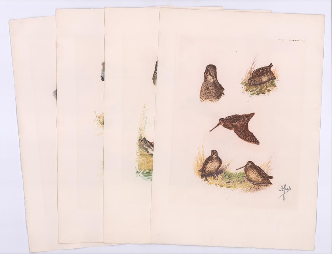 Boris Riabouchinsky (Riab) NOS Signed Prints (4): Boris Riabouchinsky (Riab) group of four NOS (New Old Stock) pencil signed bird prints. All signed lower right. Sheets measure approximately 17.75 in. x 12.5 in. EX-EX+ to EX+/NrMt. Unframed, loose an