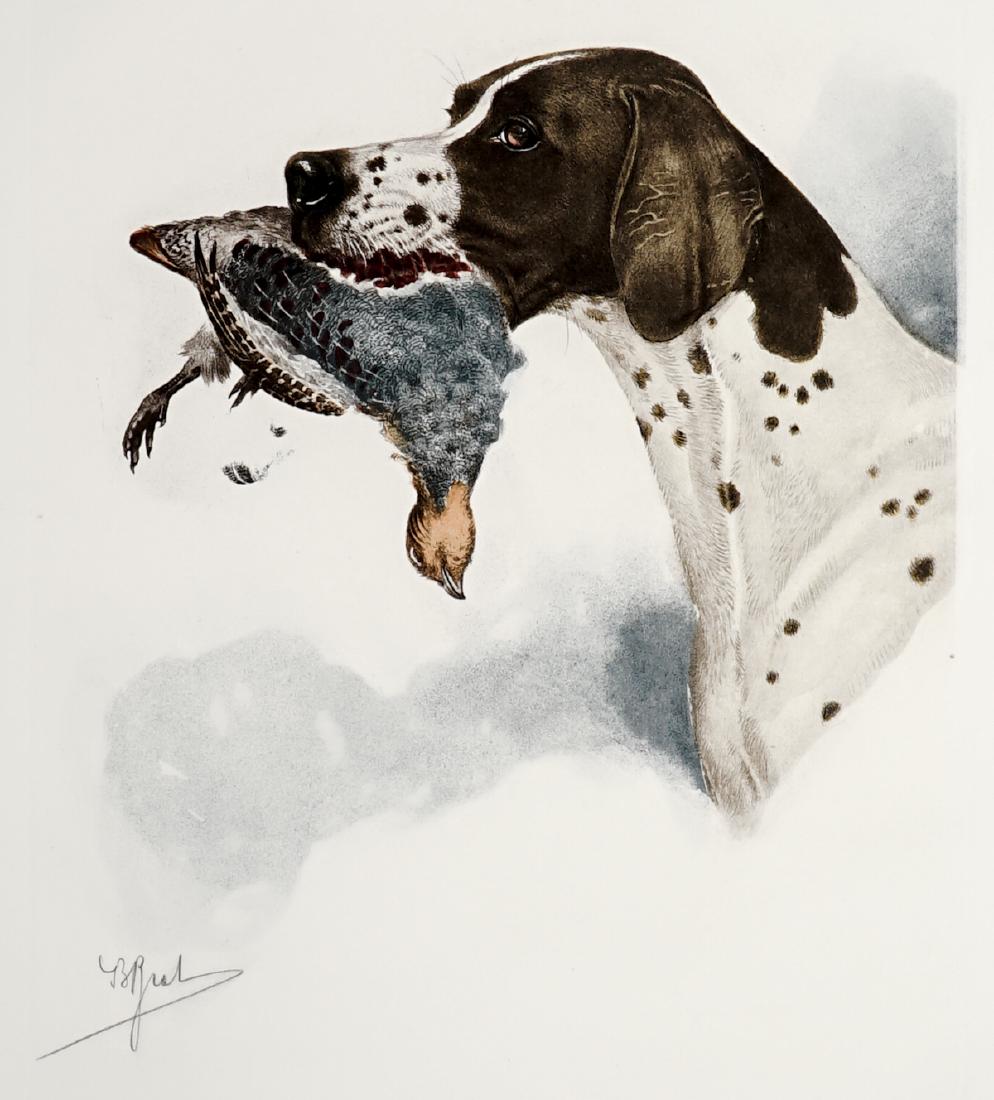 Boris Riabouchinsky (Riab) Color Lithograph: Boris Riabouchinsky (Riab) color lithograph. NOS (New Old Stock) pencil signed bird print. Signed lower left. Image area EX-EX+ to EX+/NrMt, sheet has light crease along lower right margin. Measures 1