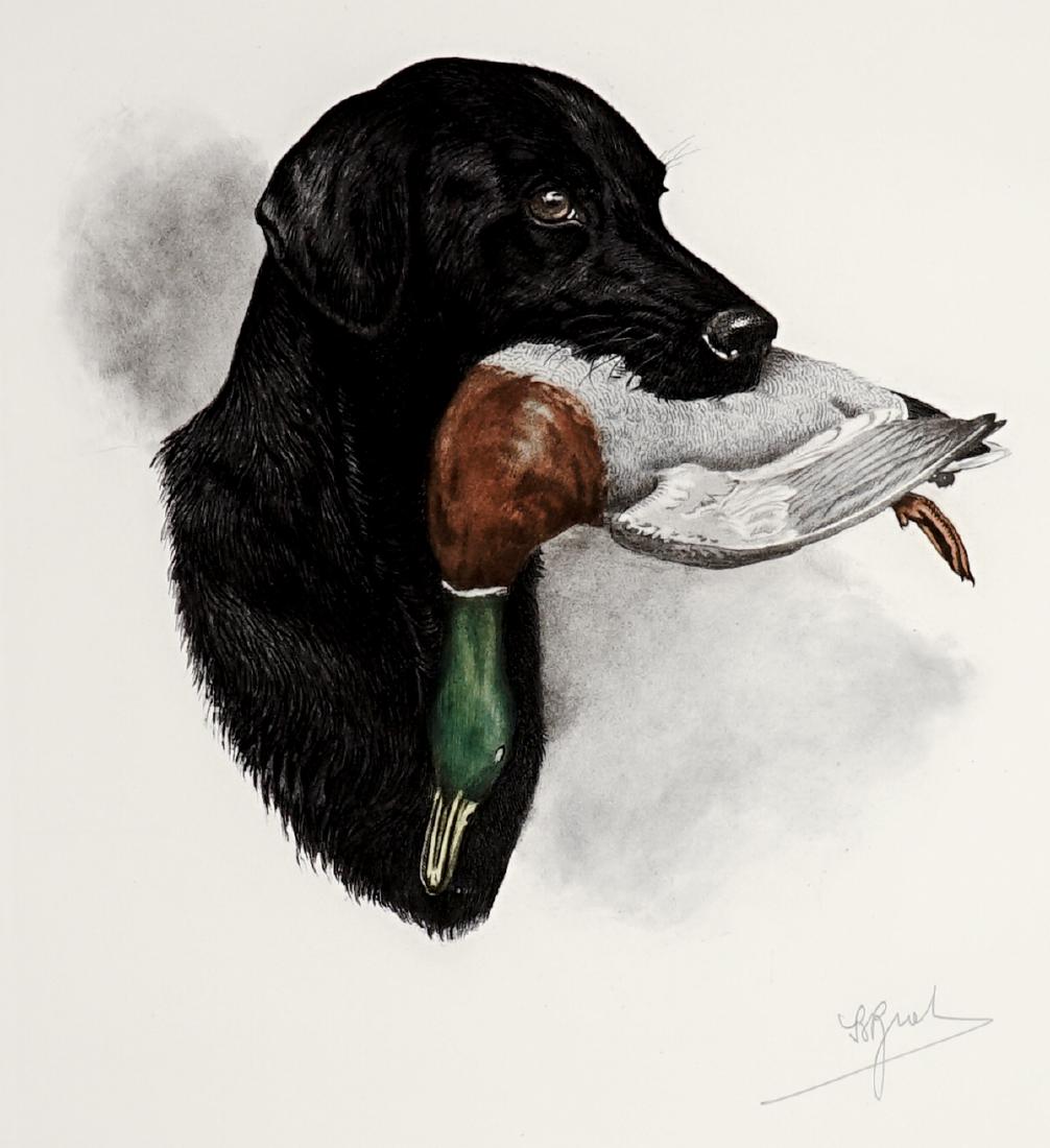 Boris Riabouchinsky (Riab) Color Lithograph: Boris Riabouchinsky (Riab) color lithograph. NOS (New Old Stock) pencil signed bird print. Signed lower right. Image area VG-EX/EX with some very light creases, sheet excellent. Measures 19.25-in. x 1