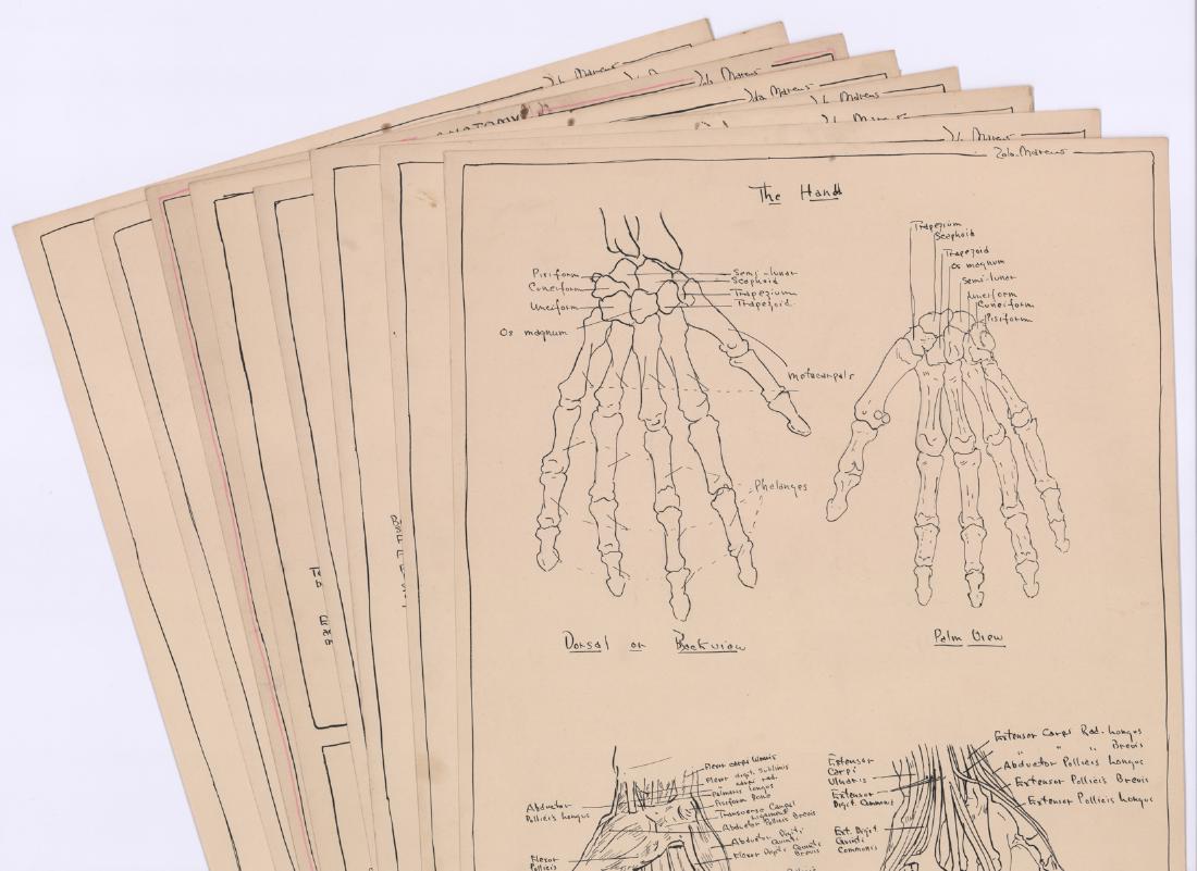 Ca.1934 Zola Marcus Human Anatomy Lithographs (8) (1 of 9)