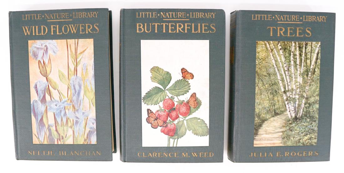 Little Nature Library 1923 (3): Little Nature Library; group of three. 1923. Illustrated. Nelson, Doubleday. Includes: 1) Trees by Julia E. Rogers 2) Butterflies by Clarence M. Weed 3) Wild Flowers by Neltje Blanchan Set measures ap