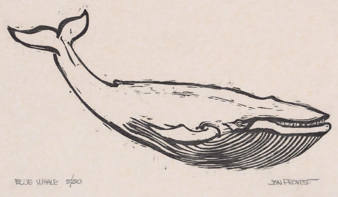 Jon Provest Signed Woodcut [Whale, Sea Life]: Jon Provest signed woodcut. Signed 'Jon Provest' in pencil lower right. Title and number 'Blue Whale 5/50' in pencil lower left. In VG/EX condition. Measures 12.375-in. x 21.25-in. sheet size. Unframe