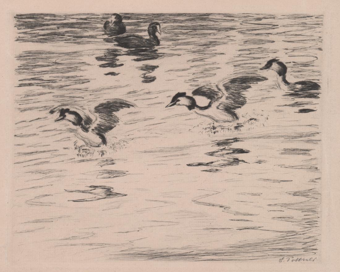 Illegibly Signed Etching/Drypoint [Birds] (1 of 4)