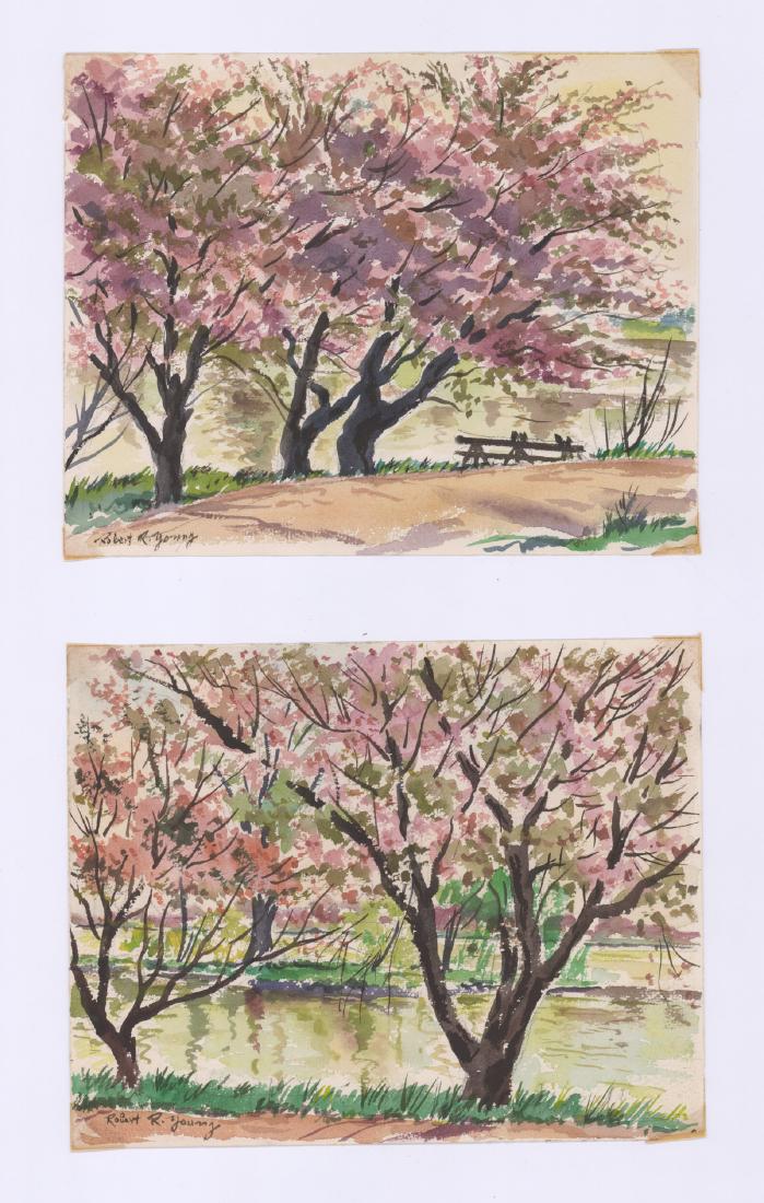 Robert Young Signed Watercolors [Cherry Blossoms] (1 of 4)