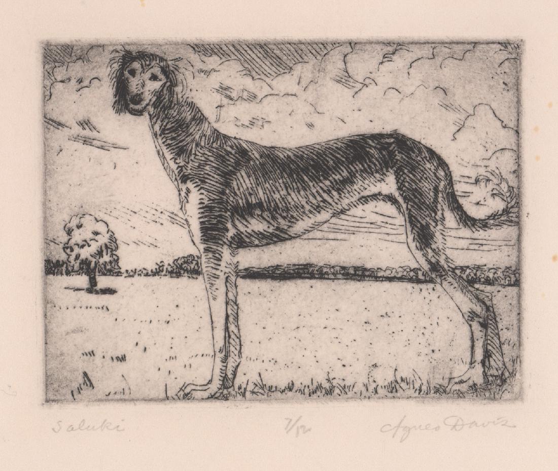 Agues Davis Signed Etching [Dog, Saluki] (1 of 4)