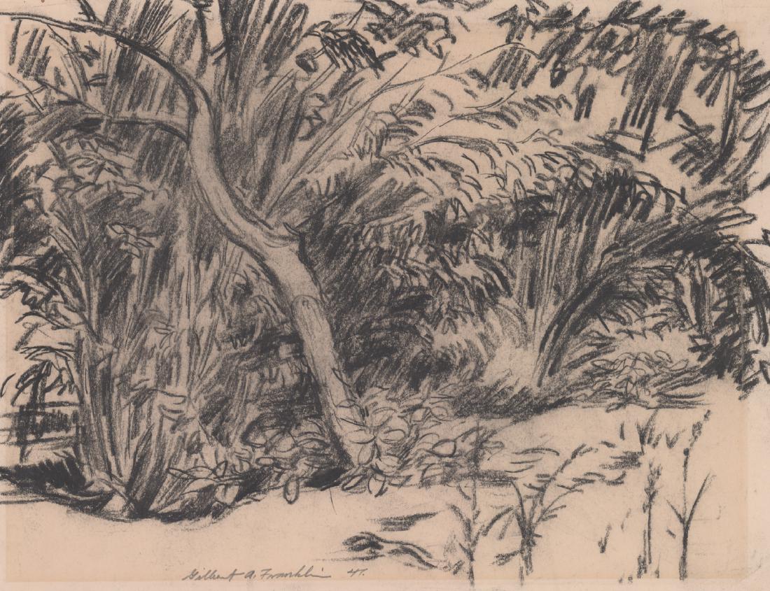 Gilbert A. Franklin Signed Charcoal [Tree, Nature] (1 of 4)