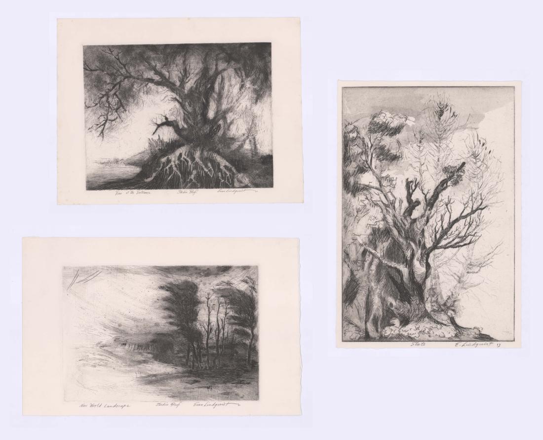 Evan Lindquist Signed Etchings [Trees] (1 of 12)