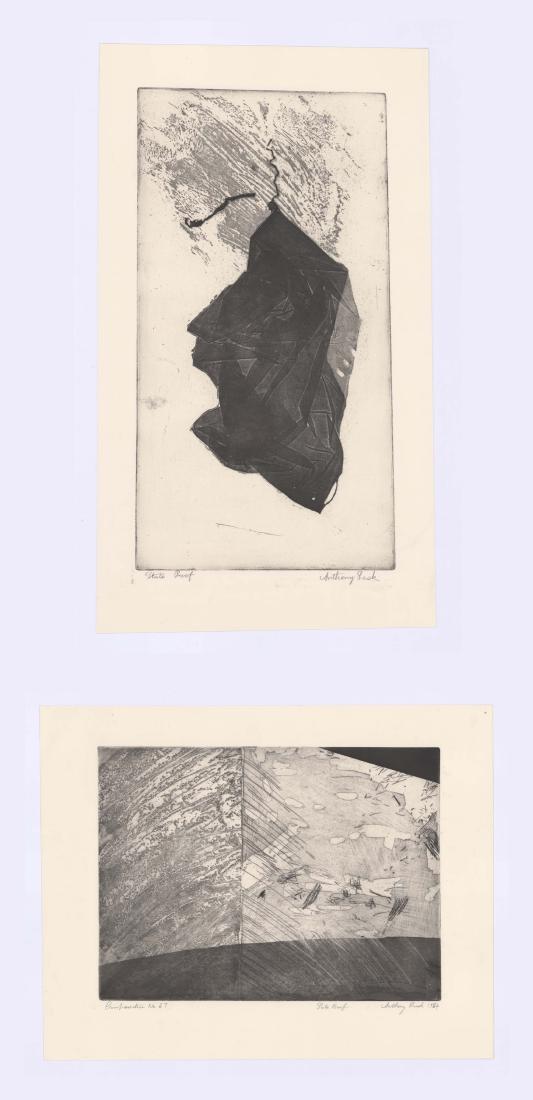 Anthony Lusk Signed Etchings [Abstract] (1 of 3)