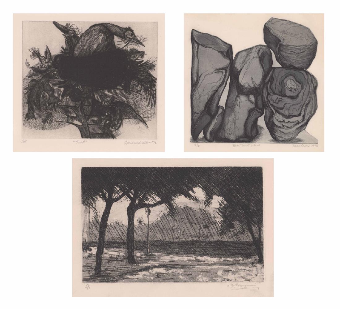 Prints, Various Artists [Rocks, Landscape, Birds] (1 of 7)