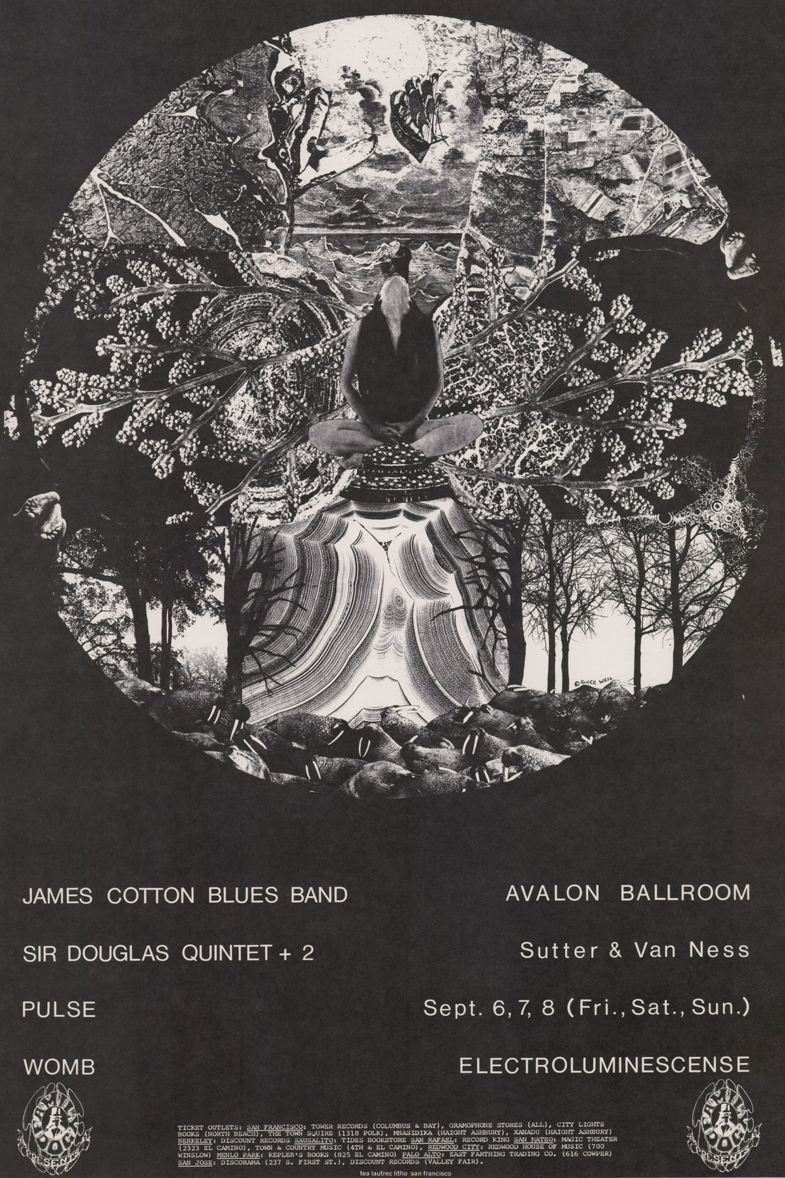 Family Dog Avalon Ballroom Poster FD-136-OP-1: Family Dog Avalon Ballroom poster FD-136-OP-1. James Cotton Blues Band, Sir Douglas Qunitet. Artist: Roger Weil. Measures 21.625 in. x 14 in. Excellent condition. Unframed, loose and not glued or moun