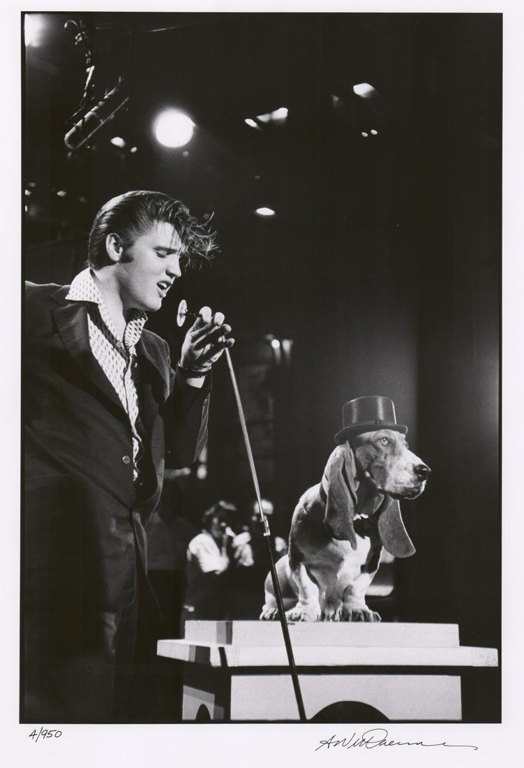 Alfred Wertheimer Elvis Presley No.4/950, 1987: Alfred Wertheimer large signed, numbered, titled and inscribed gelatin silver print dated 1987. Steve Allen Show Elvis sings Hound Dog to a hound dog-July 1956'. Signed 'A. Wertheimer' in black pen lo