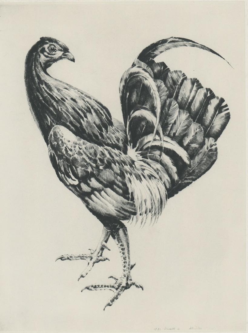 Illegibly Signed Etching [Chicken] (1 of 4)