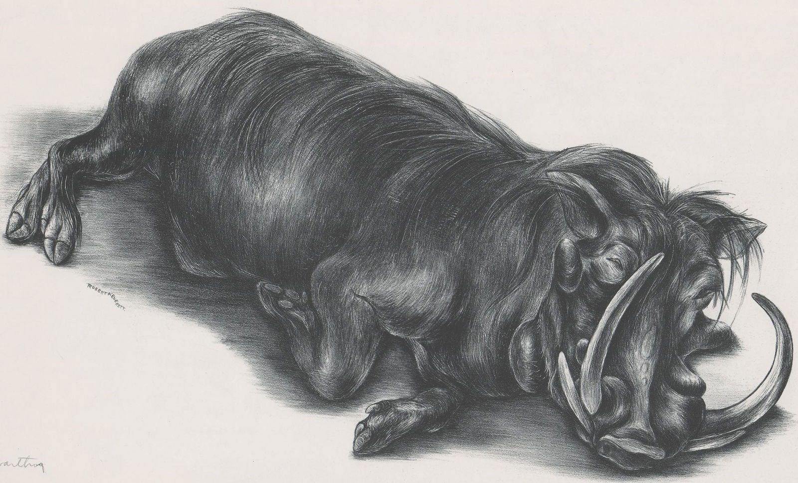 Roberta Everett Lithograph [Animal, Warthog] (1 of 6)