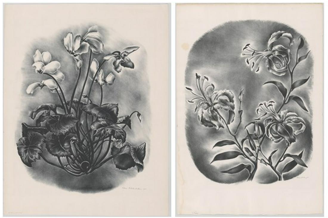 Victoria Huntley Lithographs [Botanical] (1 of 3)