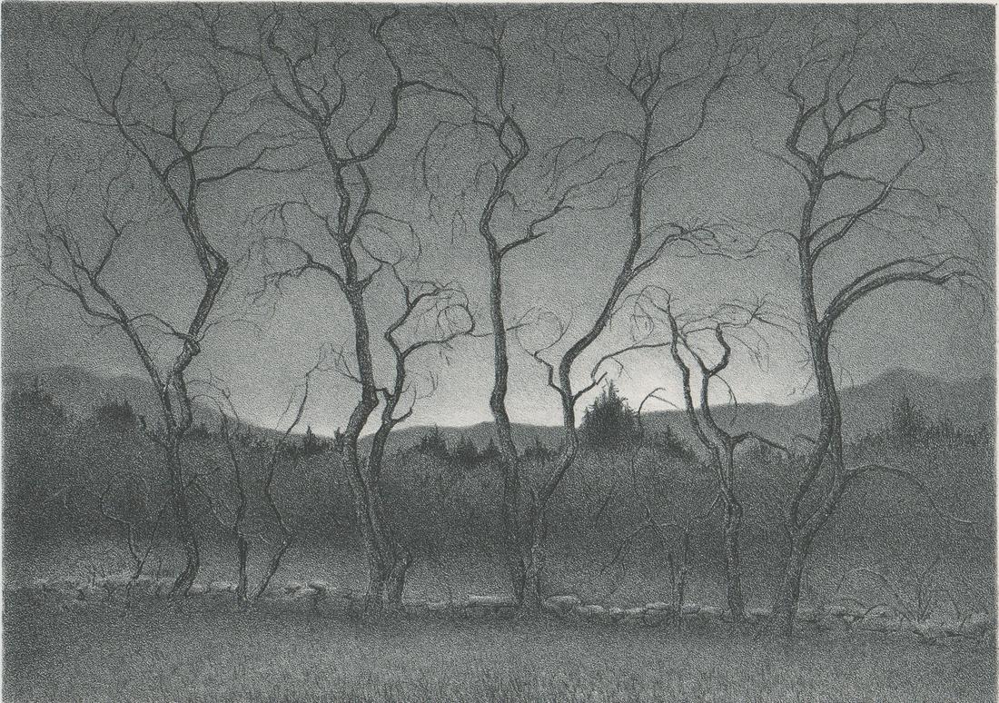 Ella Fillmore Lillie Lithograph [Trees] (1 of 6)