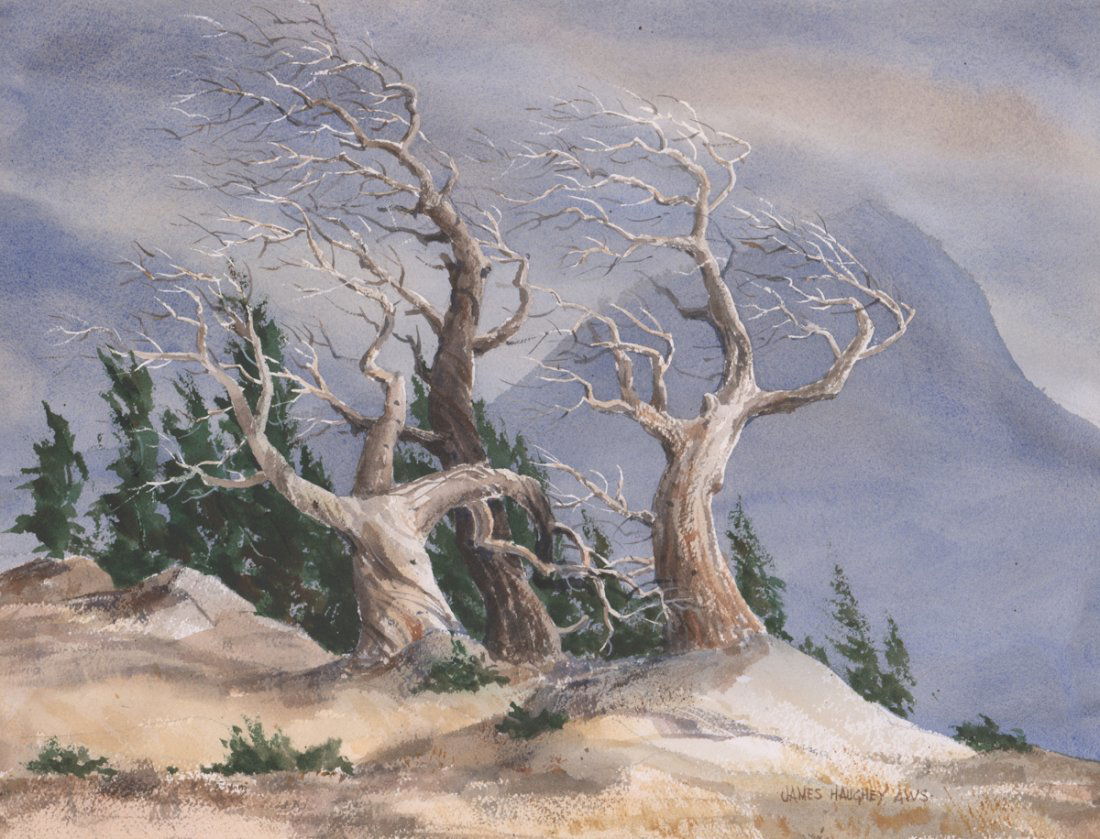 James Haughey Original Watercolor [Tree in Winter]: James Haughey (1915-2007 Montana, Kansas) original watercolor. Signed by artist lower right. Measures 12-in. x 16-in. In excellent condition. Unframed, loose and not glued or mounted. If lot is absent