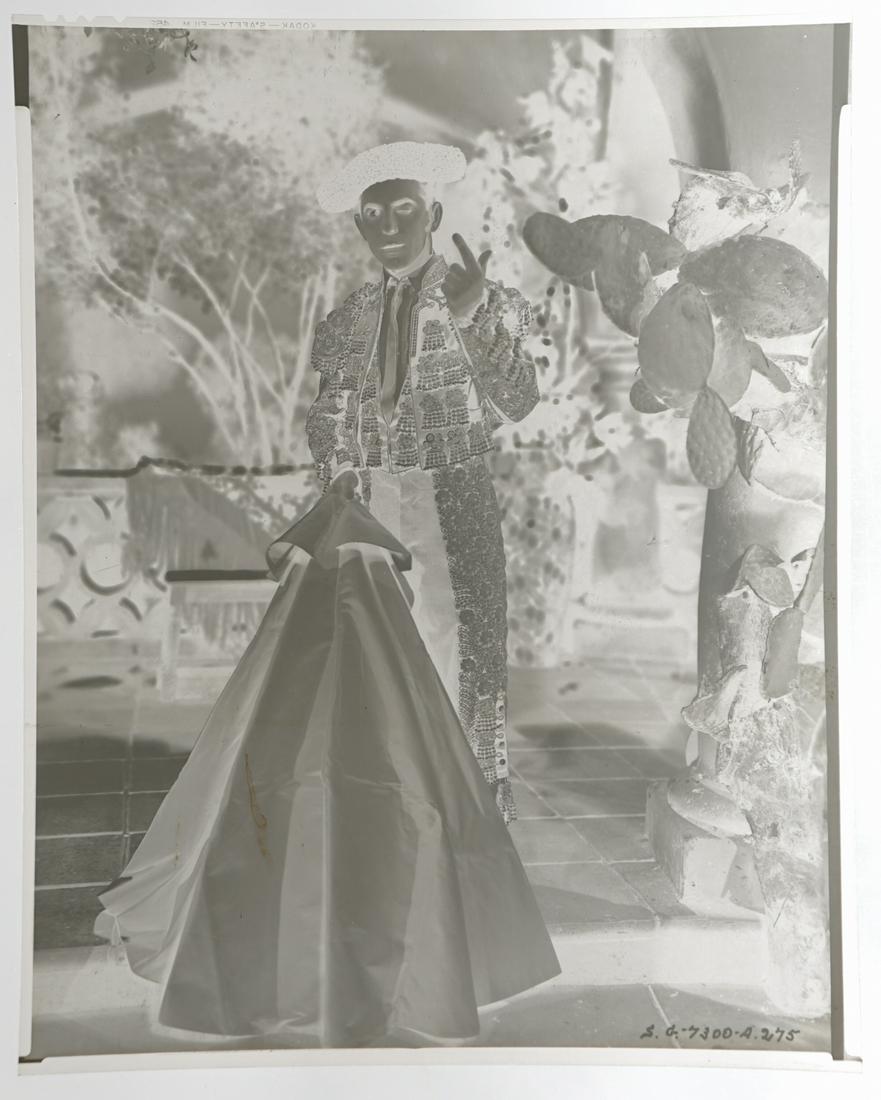 Rudolph Valentino in Blood and Sand Negative (1 of 2)