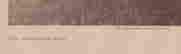 item-85059989=3