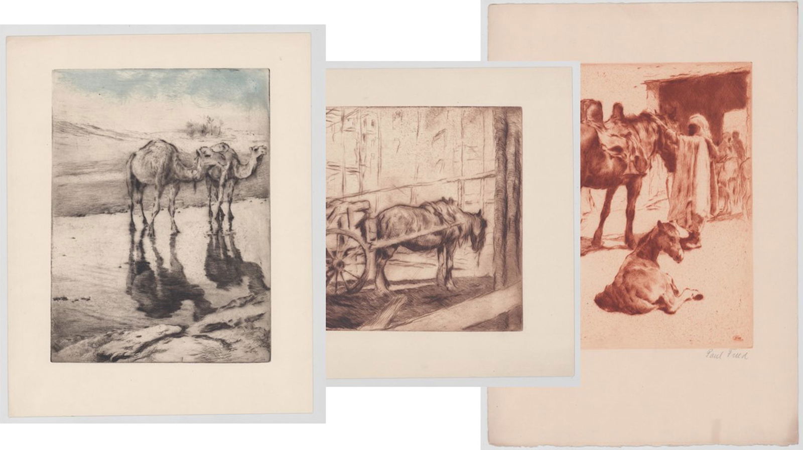 Pal Fried Etching [Horses, Camels]: Four (4) Pal Fried (New York, California, Hungary 1893 - 1976) etchings. Two smallest measure 13.5-in. x 16.75-in. sheet size, largest 20-in. x 14-in. sheet size. In G+/VG+ condition. Unframed, loose