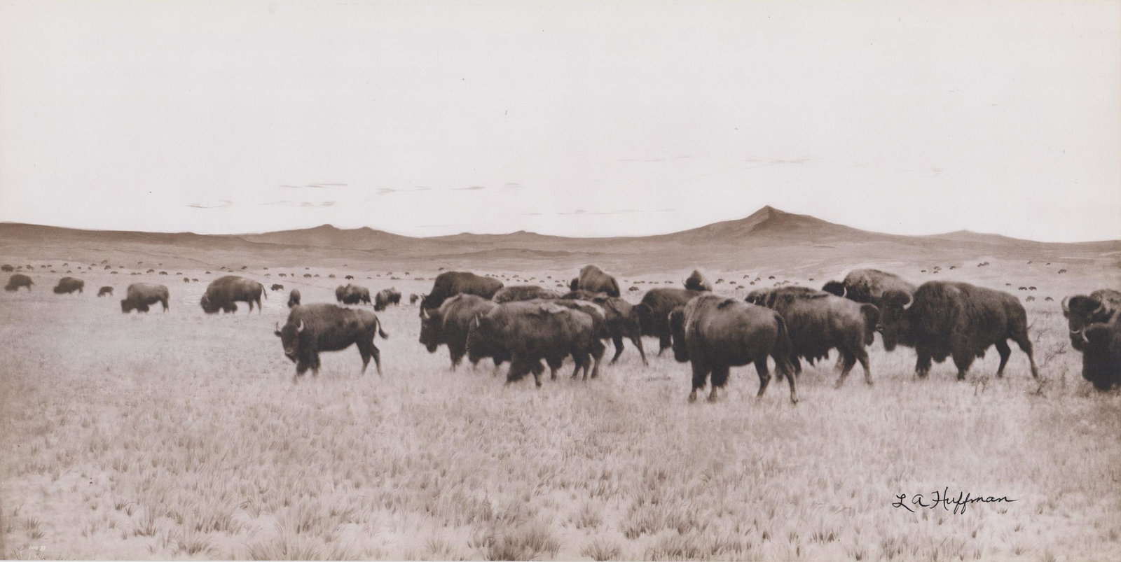 L.A. Huffman Collotype: L.A. Huffman collotype. Measures 10-in. x 20-in. Excellent condition. Unframed, loose and not glued or mounted. Provenance: Bob Borcherdt collection. If lot is absent of a condition report a condition