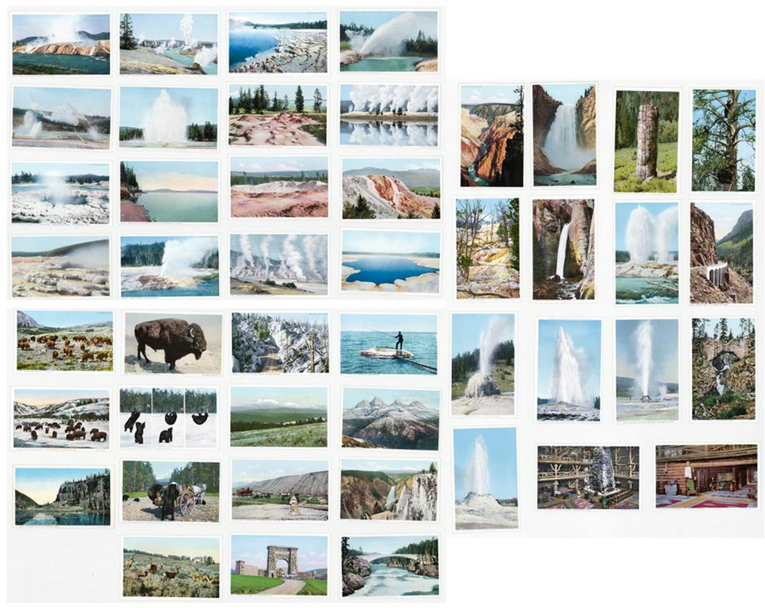 Yellowstone Park Postcards (46) (1 of 19)