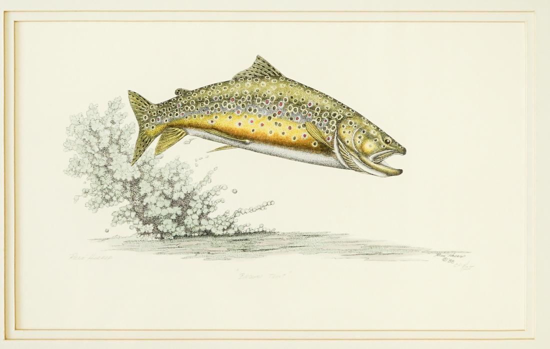 Rene Harrop Hand Colored Print with Flies (1 of 5)