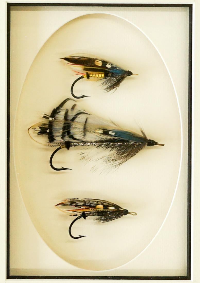 Early 1900's Gut-Eye Flies Framed Display (1 of 5)