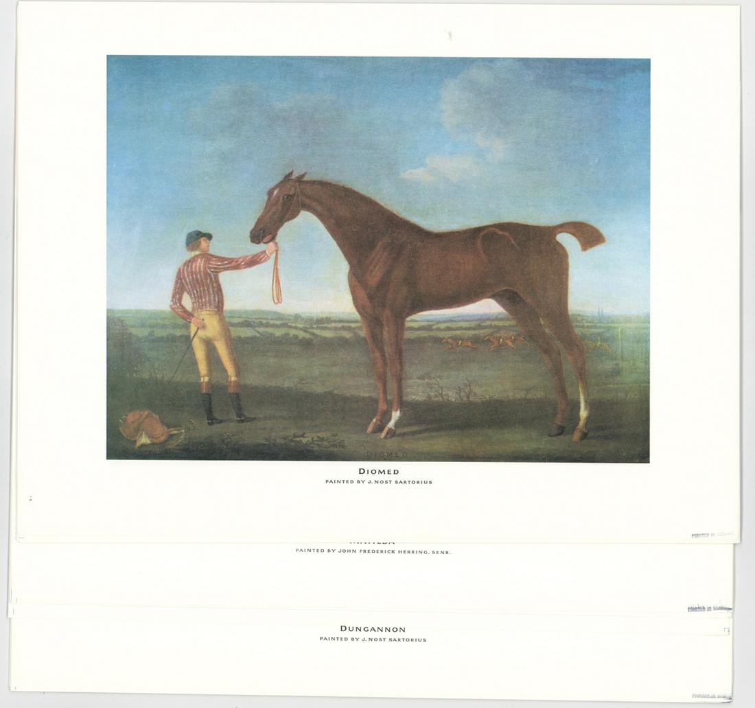 British Thoroughbreds Set of (16) Prints (1 of 17)