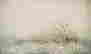 item-96775321=2
