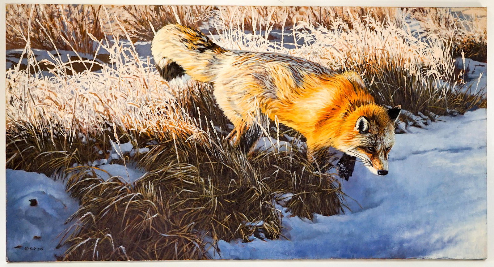 Kyle Sims Oil on Canvas [Fox]: Kyle Sims (American, Wildlife Artist, b. 1980) oil on stretched canvas. Signed lower left. Measures 20 in. x 38 in. If lot is absent of a condition report one may be requested via email. Condition rep