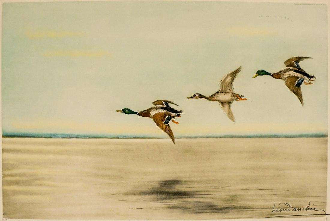 Leon Danchin Large Etching [Ducks]: Leon Danchin (French, American 1887 - 1938) 1938 large color etching. Title "At Large." Signed in pencil lower right. Numbered 194/500 in pencil lower left. Imported from France. Mounted to mat along