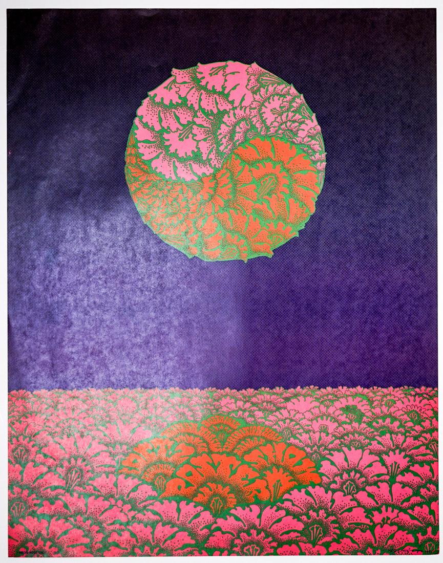 Neon Rose NR-21 (B-2)-OP-1 poster (1 of 2)