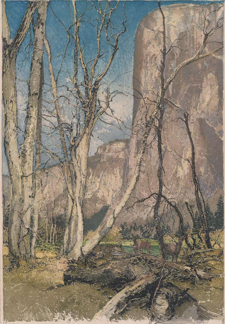 Luigi Kasimir Etching SIGNED 6/150 [Nature] (1 of 5)