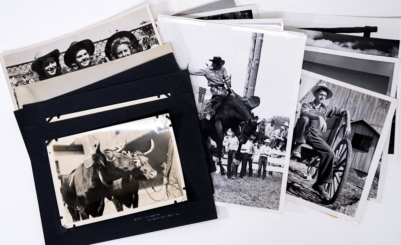 Western / Rodeo (15) Photo [Black Hills Roundup] (1 of 5)