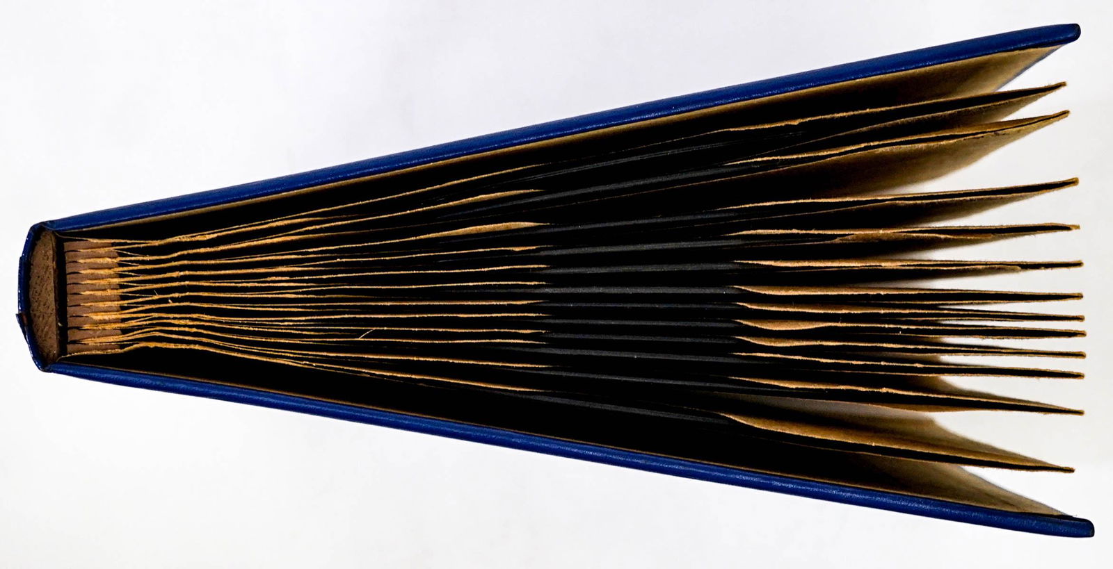 Universal Pictures (12) 78 Promo Abbott Costello (1 of 15)