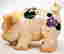 item-131271411=2