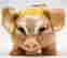 item-131271411=3