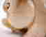 item-131271411=9