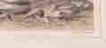 item-133562010=4