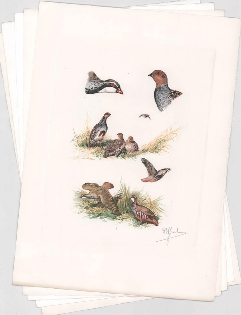Boris Riab Signed Hunting Dog Prints (5) (1 of 6)