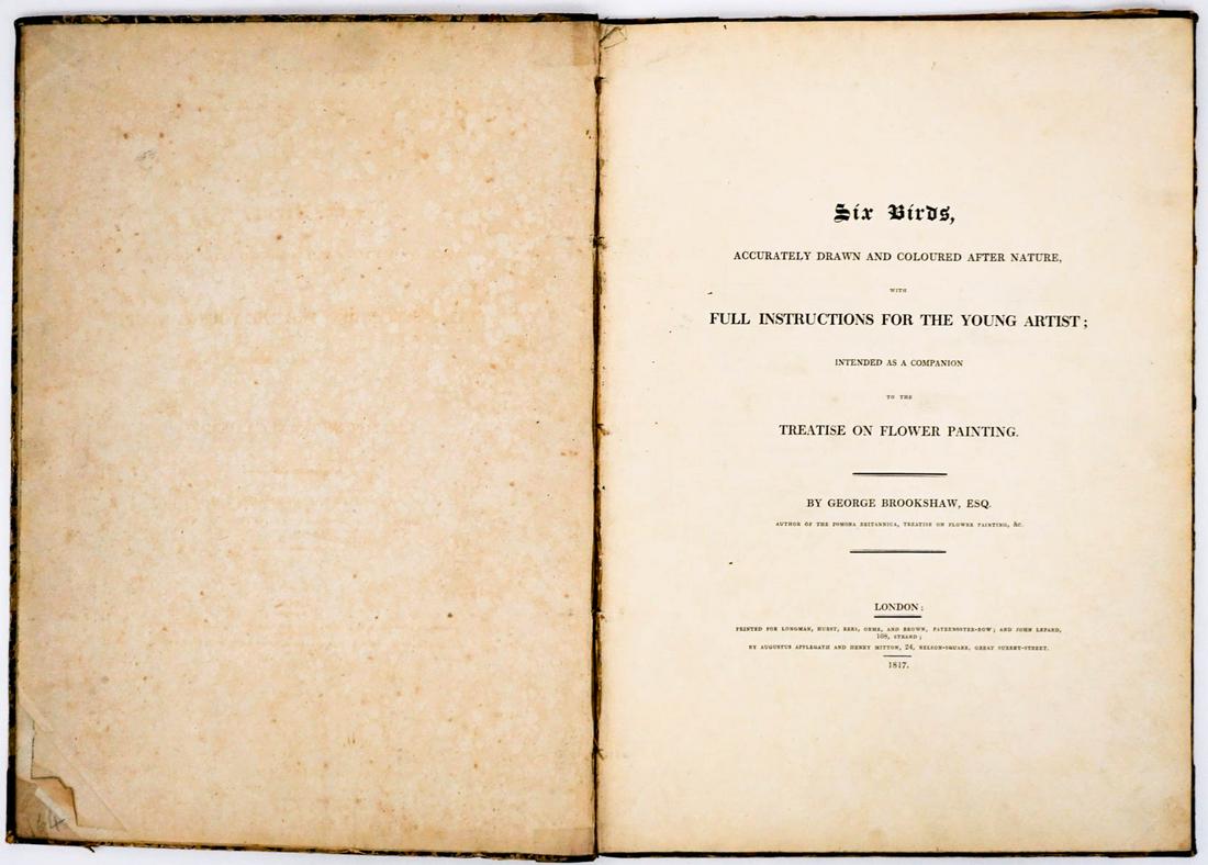George Brookshaw 1817 Engravings [Six Birds]: George Brookshaw 1817 folio with six (6) color engravings and artist instruction pages, Six Birds 1817. London. Measures 14.75 in. x 10.5 in. Provenance: C. D. Raymond and Son Collection. If lot is ab