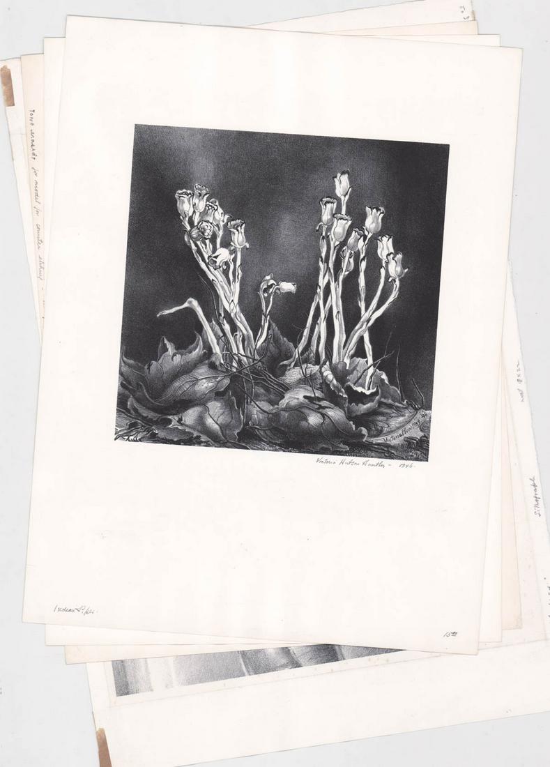 (4) Victoria Hudson Huntley Lithographs: (4) Victoria Hudson Huntley Lithographs. They measure 16 x 12 to 12.5 x 19 inches sheet sizes. VG-EX/Ex and EX condition. Unframed, loose and not glued or mounted. Provenance: Formerly Artist's Estate