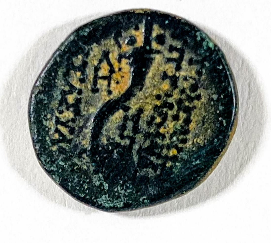 Ancient Roman Coin with Two Faces Looking Right (1 of 2)