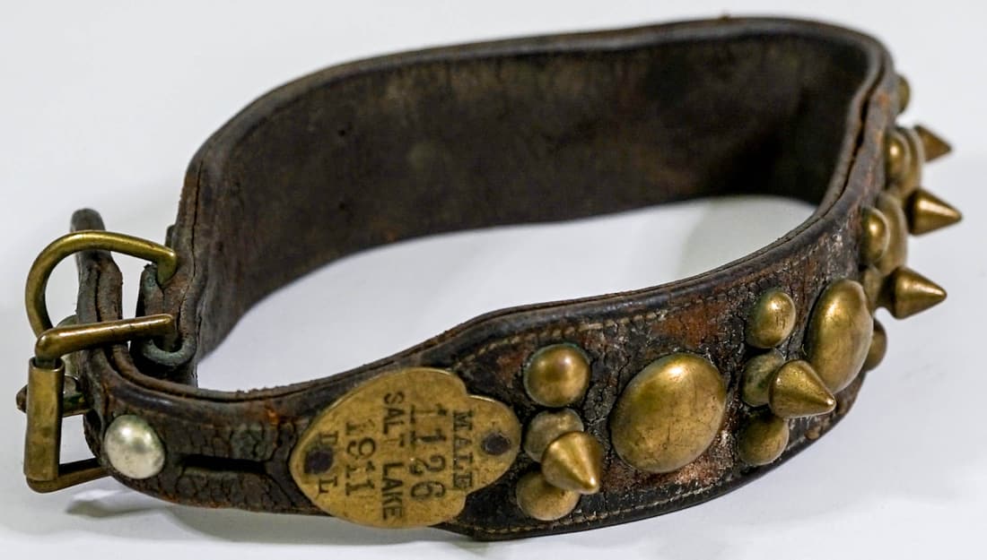 Antique 1911 Spiked 18 IN Leather Dog Collar (1 of 6)