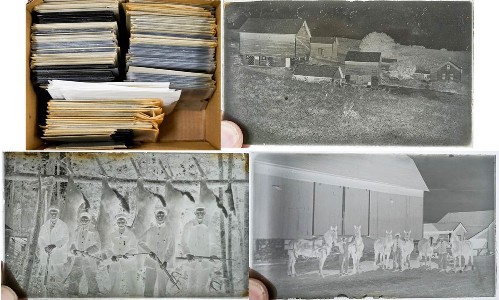 [People, Exteriors, Picnic, Hunting] Glass Plates (1 of 5)